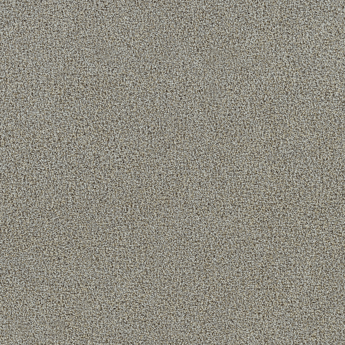 DreamWeaver® Heaven Sent I Cut Pile Carpet