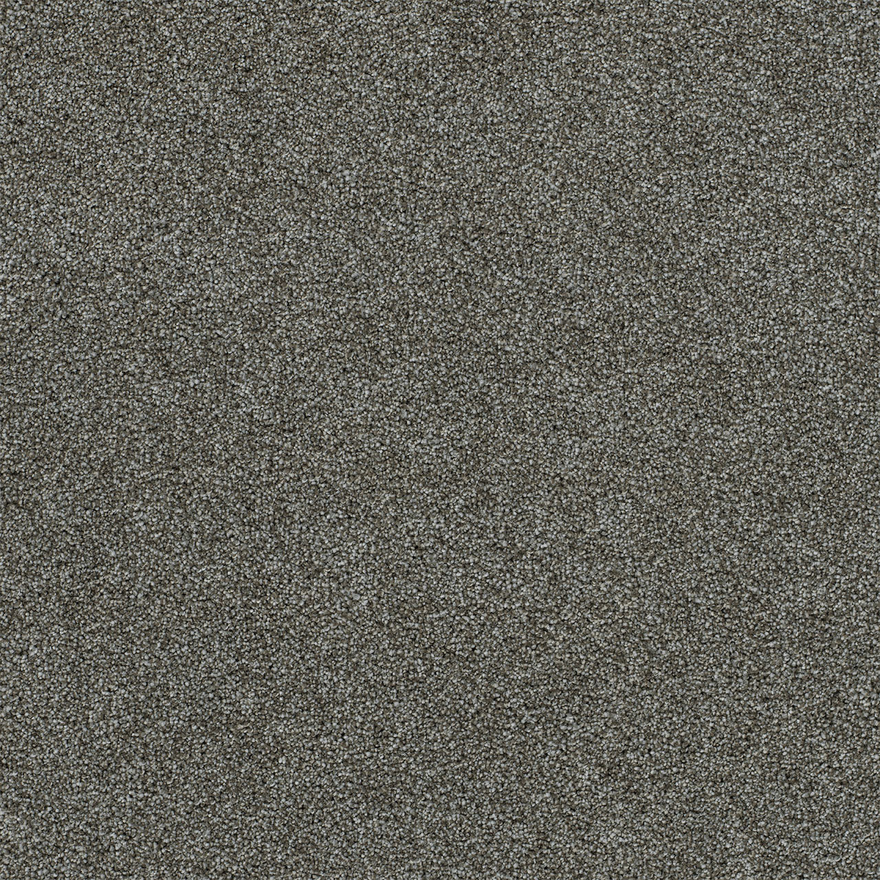 DreamWeaver® Heaven Sent I Cut Pile Carpet