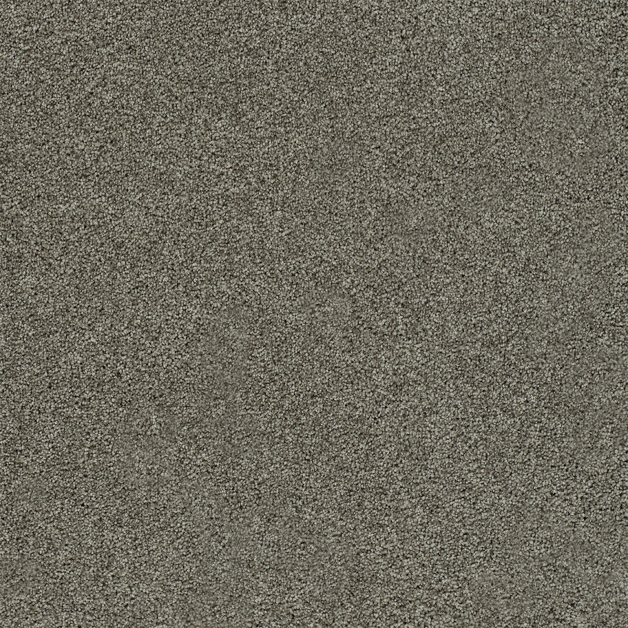 DreamWeaver® Heaven Sent I Cut Pile Carpet