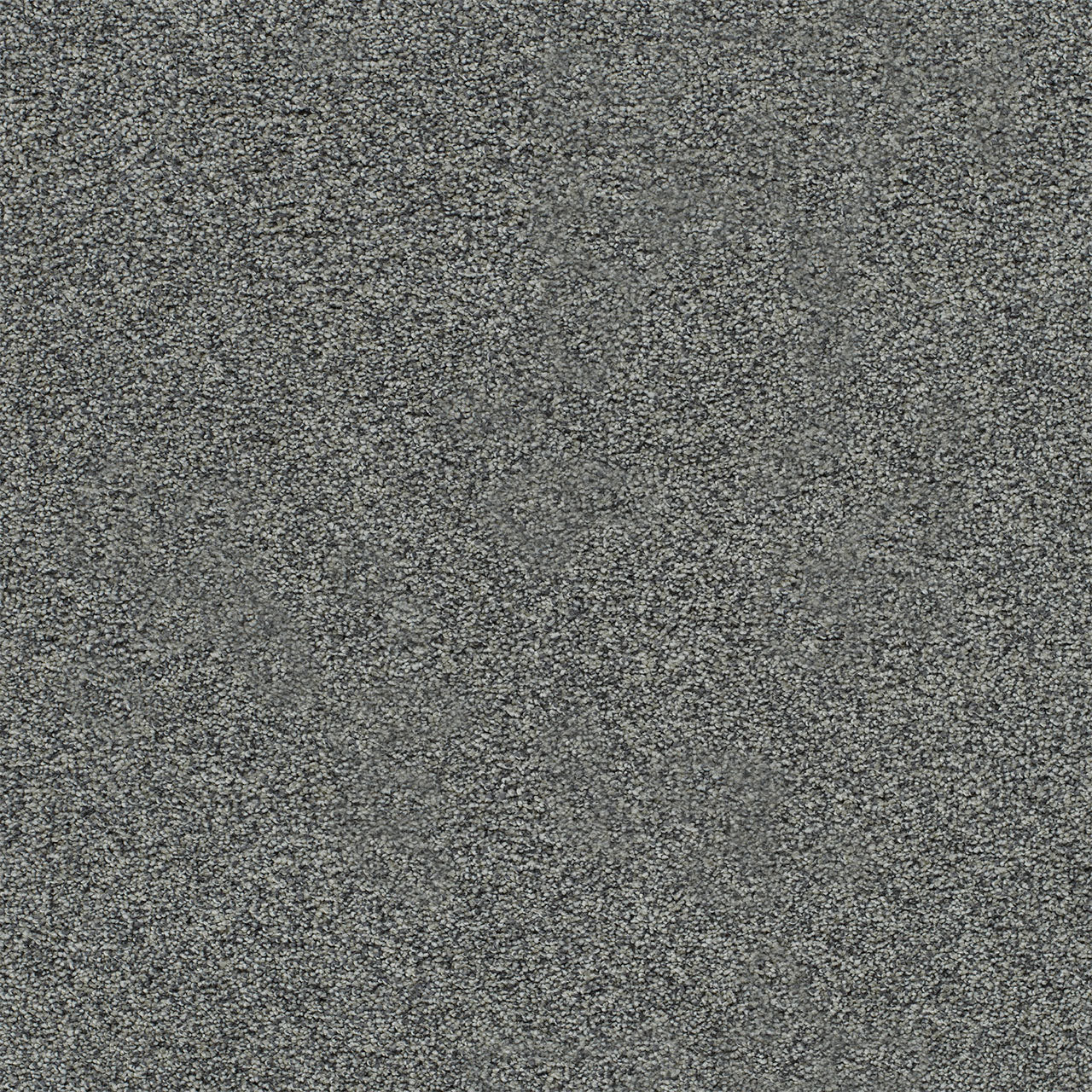 DreamWeaver® Heaven Sent I Cut Pile Carpet