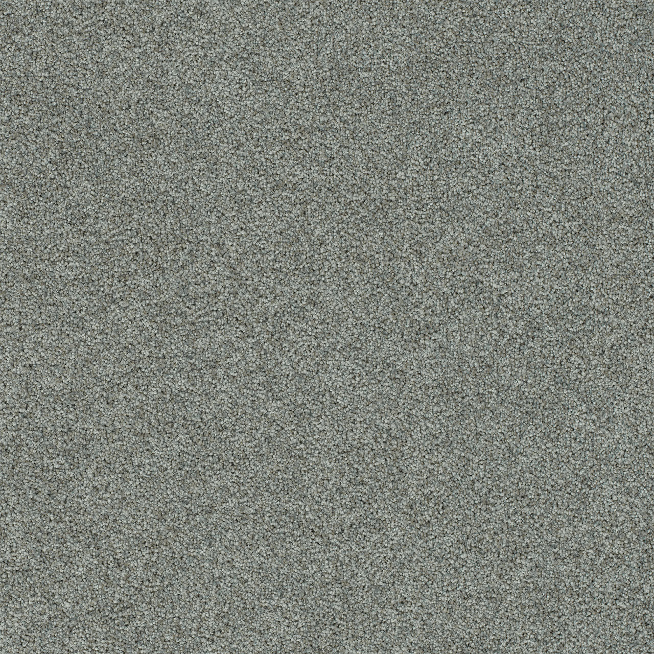 DreamWeaver® Heaven Sent I Cut Pile Carpet