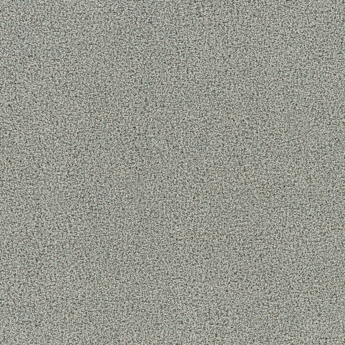 DreamWeaver® Heaven Sent I Cut Pile Carpet
