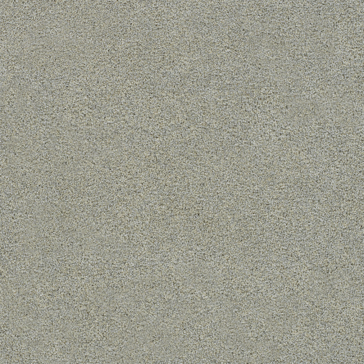 DreamWeaver® Heaven Sent I Cut Pile Carpet