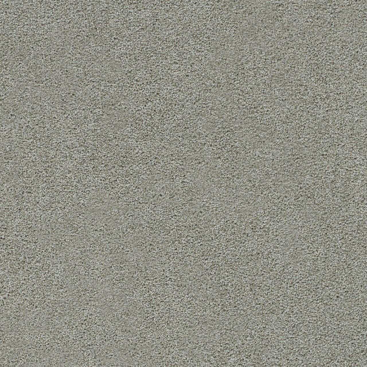 DreamWeaver® Heaven Sent I Cut Pile Carpet