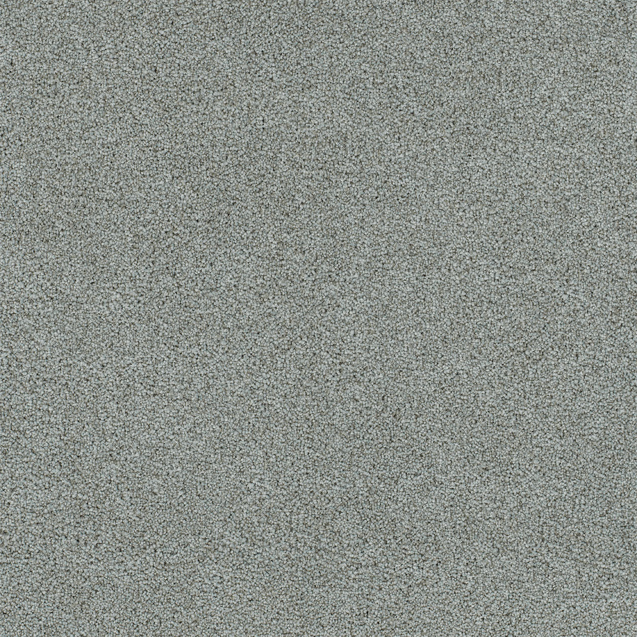 DreamWeaver® Heaven Sent I Cut Pile Carpet