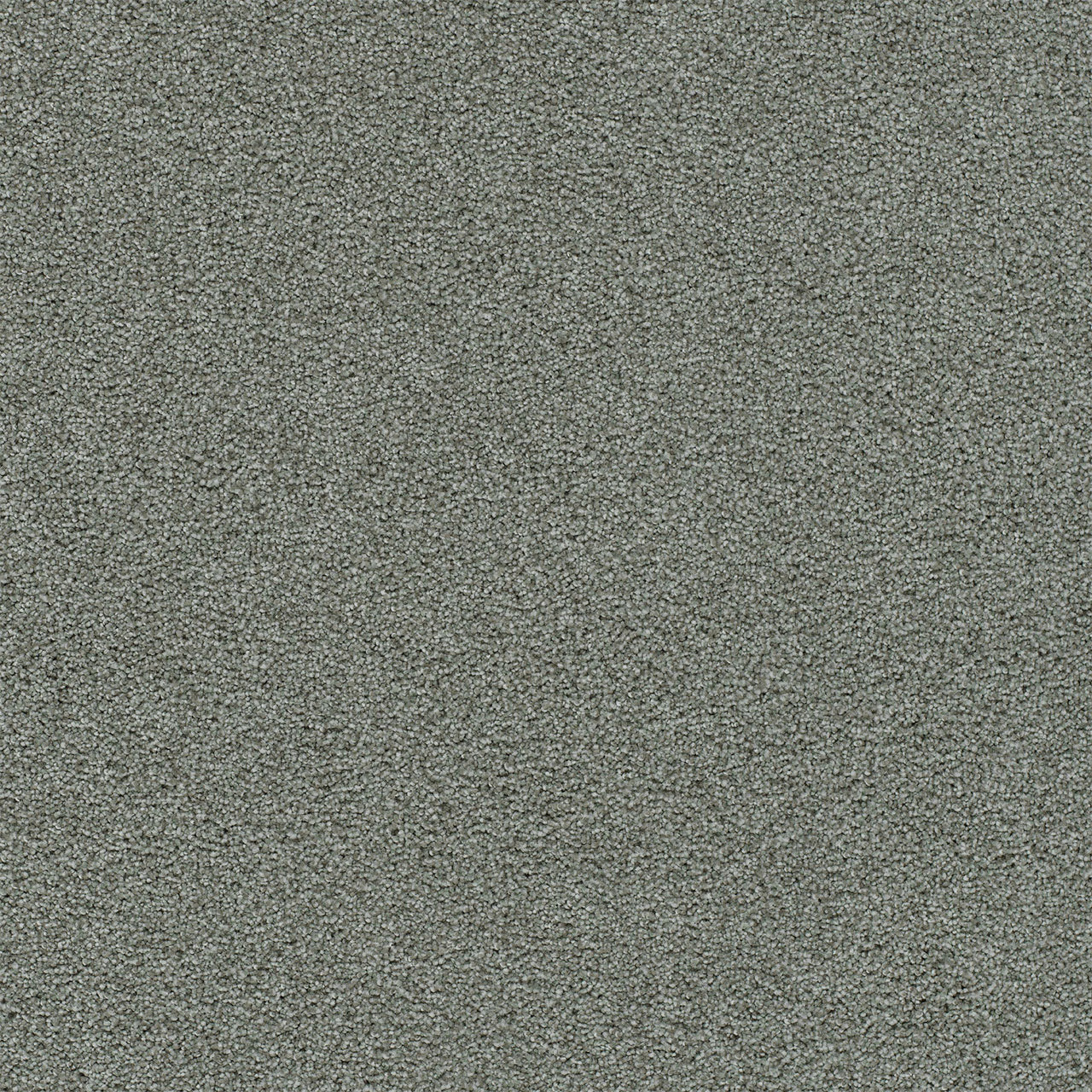 DreamWeaver® Heaven Sent I Cut Pile Carpet