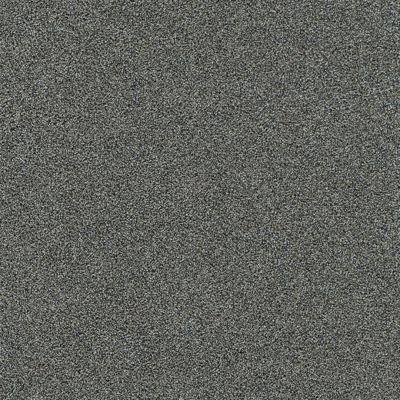 DreamWeaver® Heaven Sent I Cut Pile Carpet