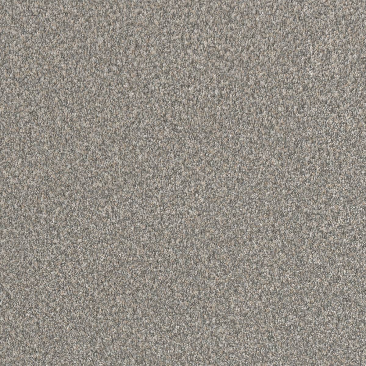 DreamWeaver® Lucky Penny III Texture Carpet