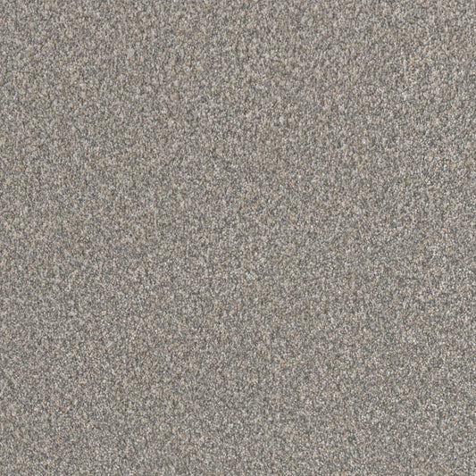 DreamWeaver® Lucky Penny III Texture Carpet