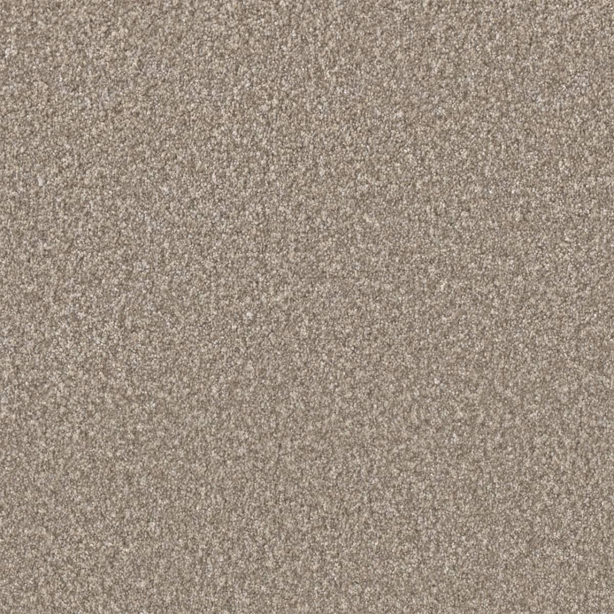 DreamWeaver® Lucky Penny III Texture Carpet
