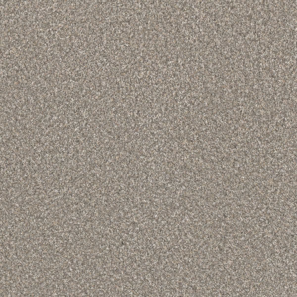 DreamWeaver® Lucky Penny III Texture Carpet