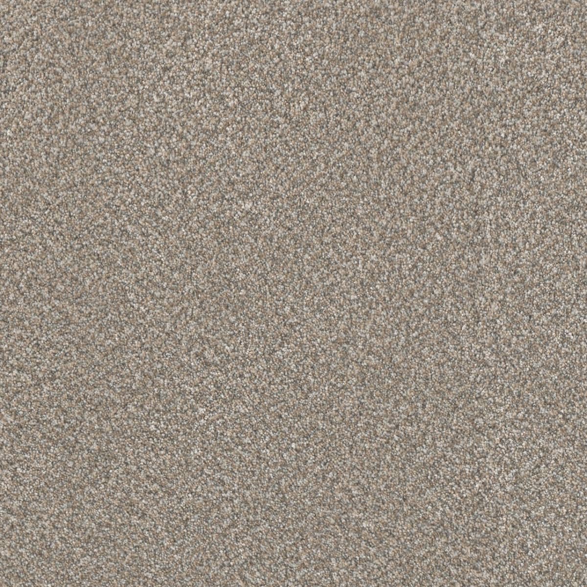 DreamWeaver® Lucky Penny III Texture Carpet