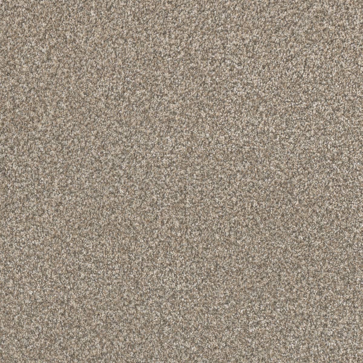 DreamWeaver® Lucky Penny III Texture Carpet