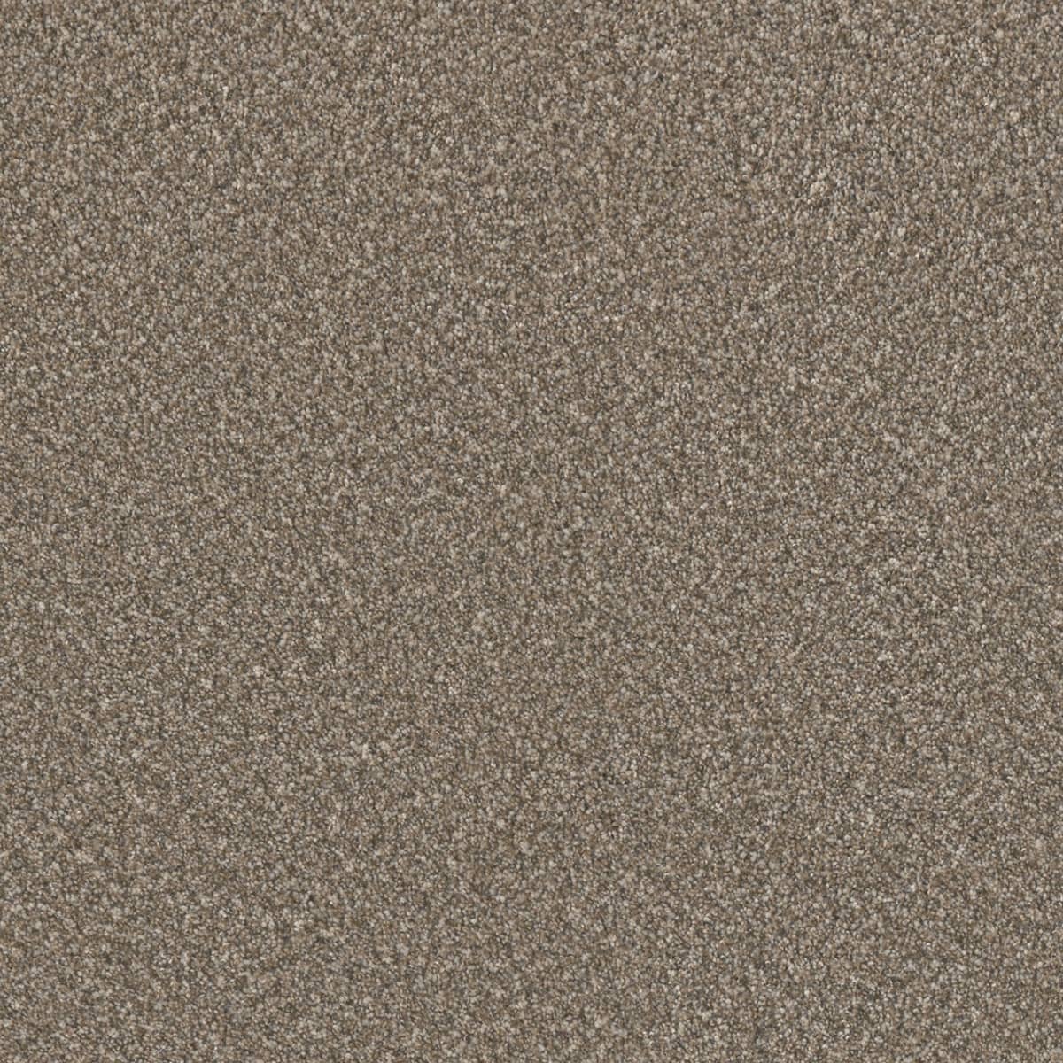 DreamWeaver® Lucky Penny III Texture Carpet