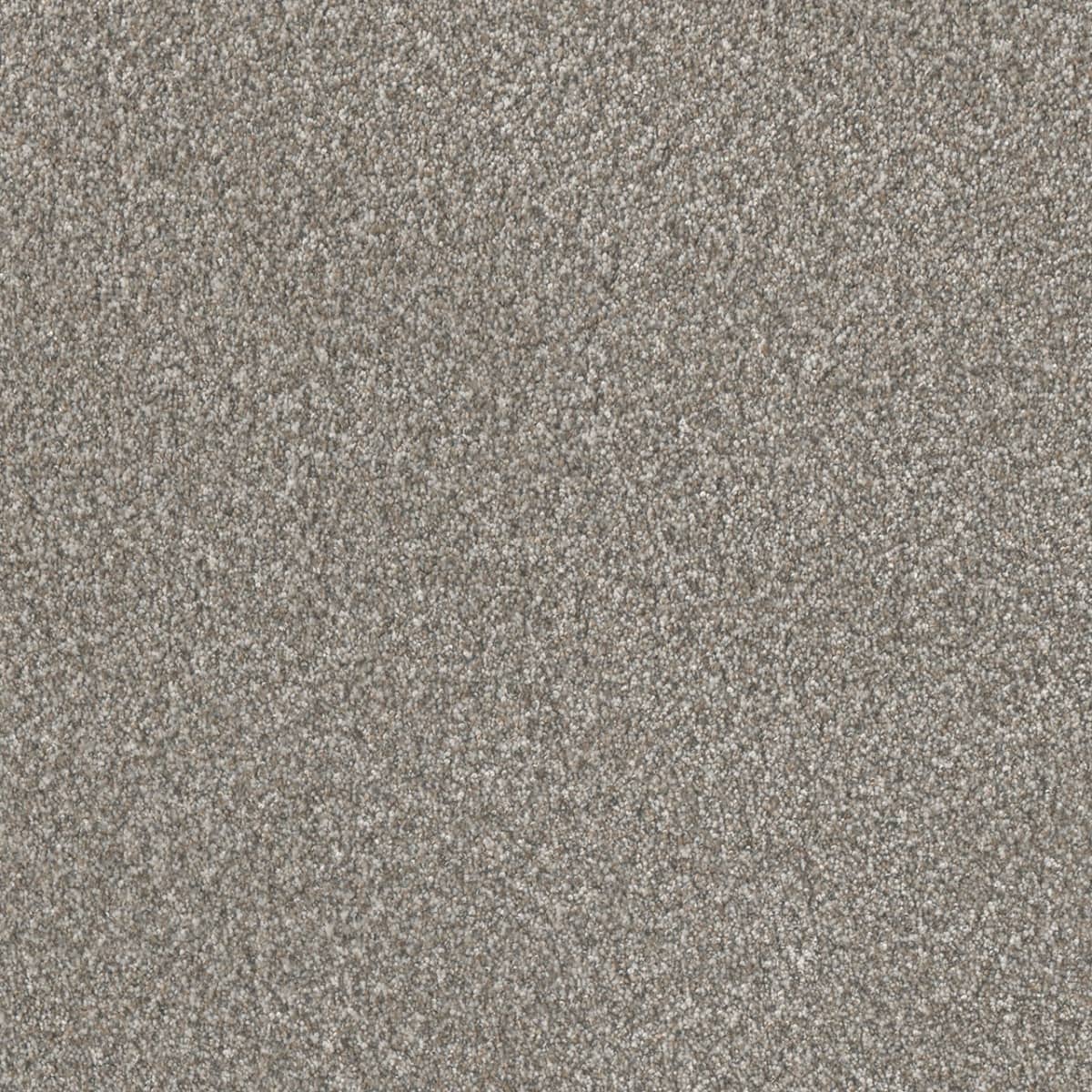 DreamWeaver® Lucky Penny III Texture Carpet
