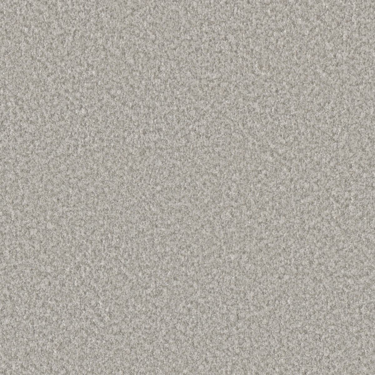 DreamWeaver® Lucky Penny III Texture Carpet