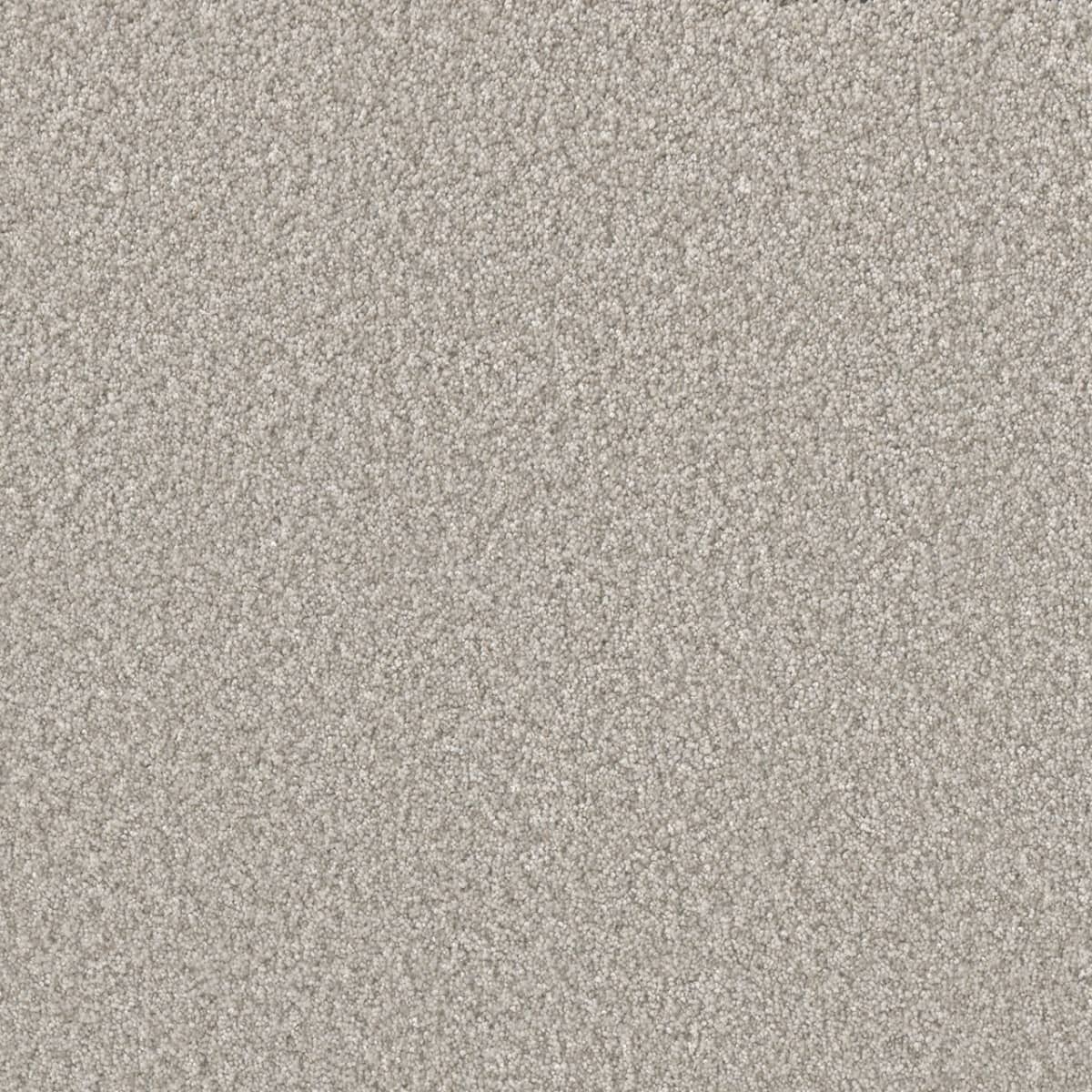 DreamWeaver® Lucky Penny III Texture Carpet