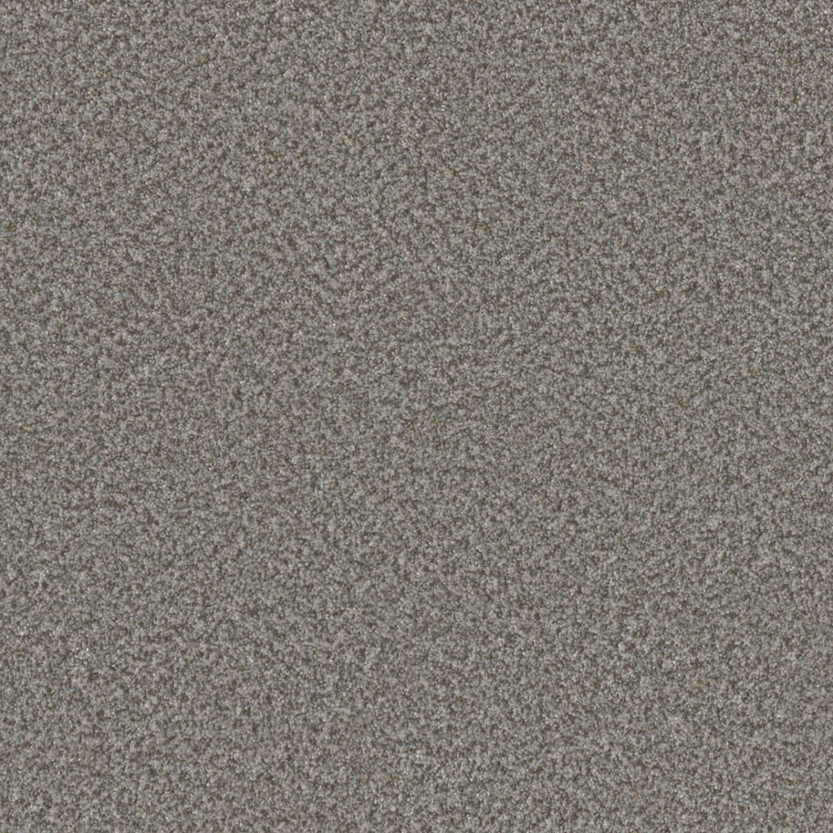 DreamWeaver® Lucky Penny III Texture Carpet