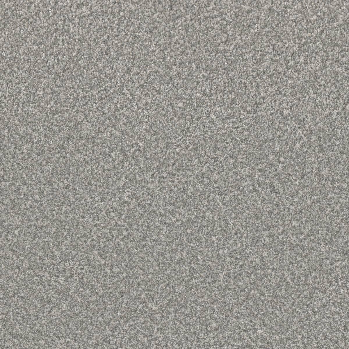 DreamWeaver® Lucky Penny III Texture Carpet