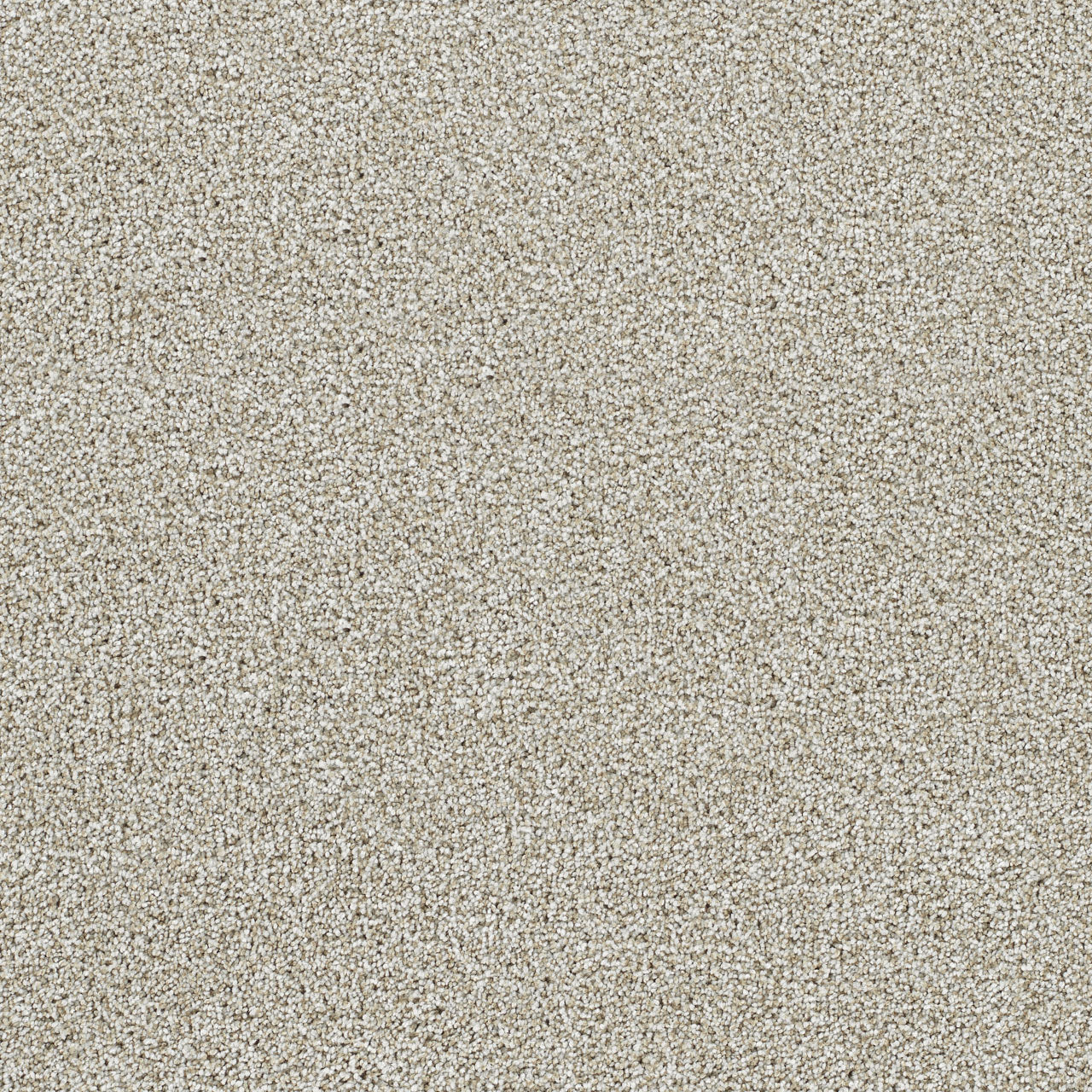 DreamWeaver® Lucky Penny III Texture Carpet