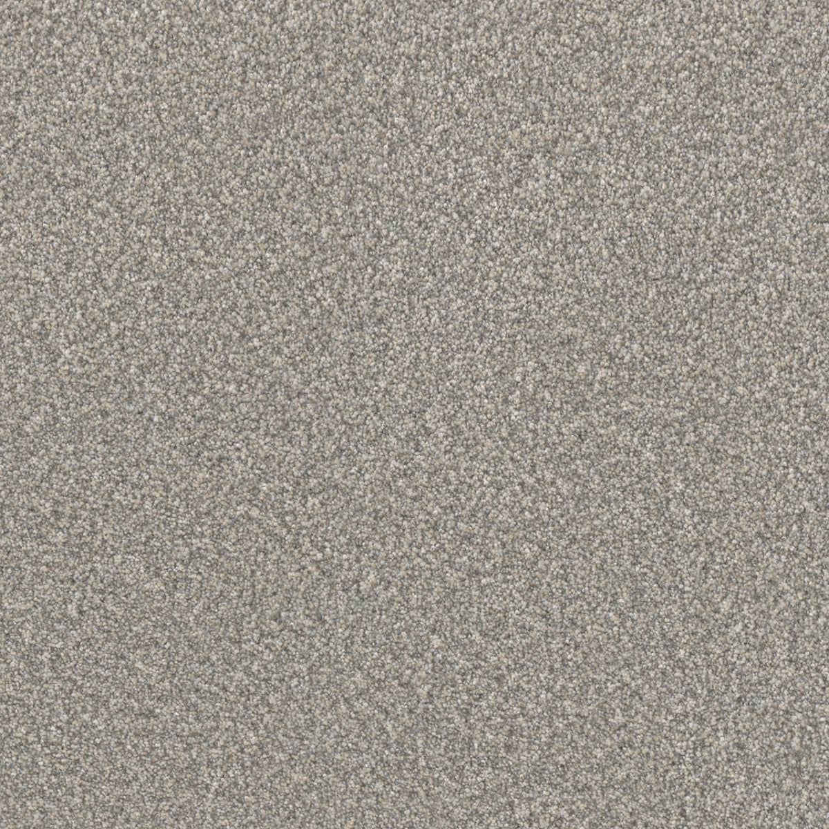 DreamWeaver® Lucky Penny III Texture Carpet