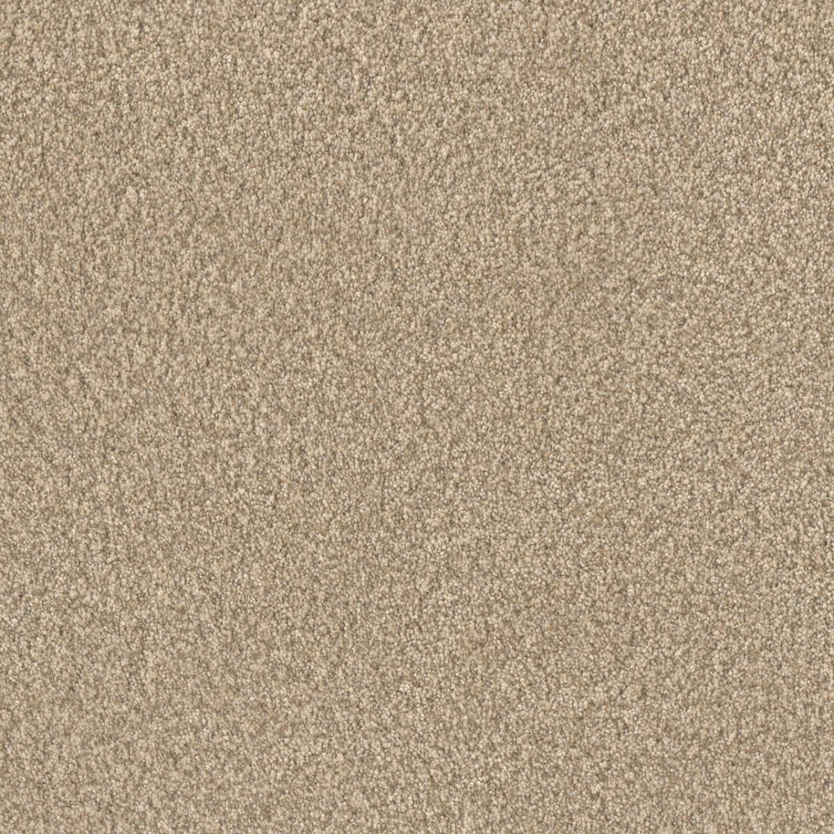 DreamWeaver® Lucky Penny III Texture Carpet