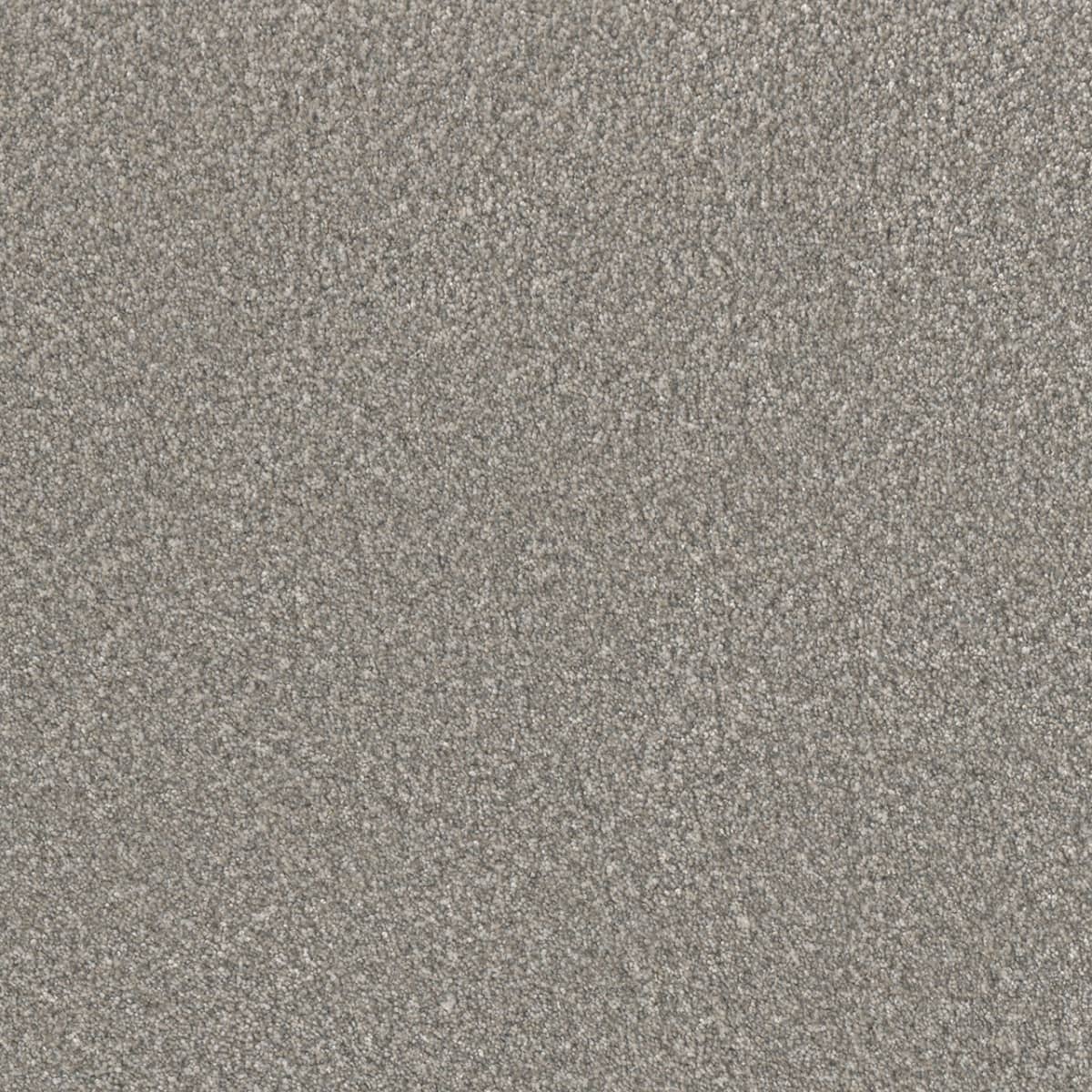 DreamWeaver® Lucky Penny III Texture Carpet