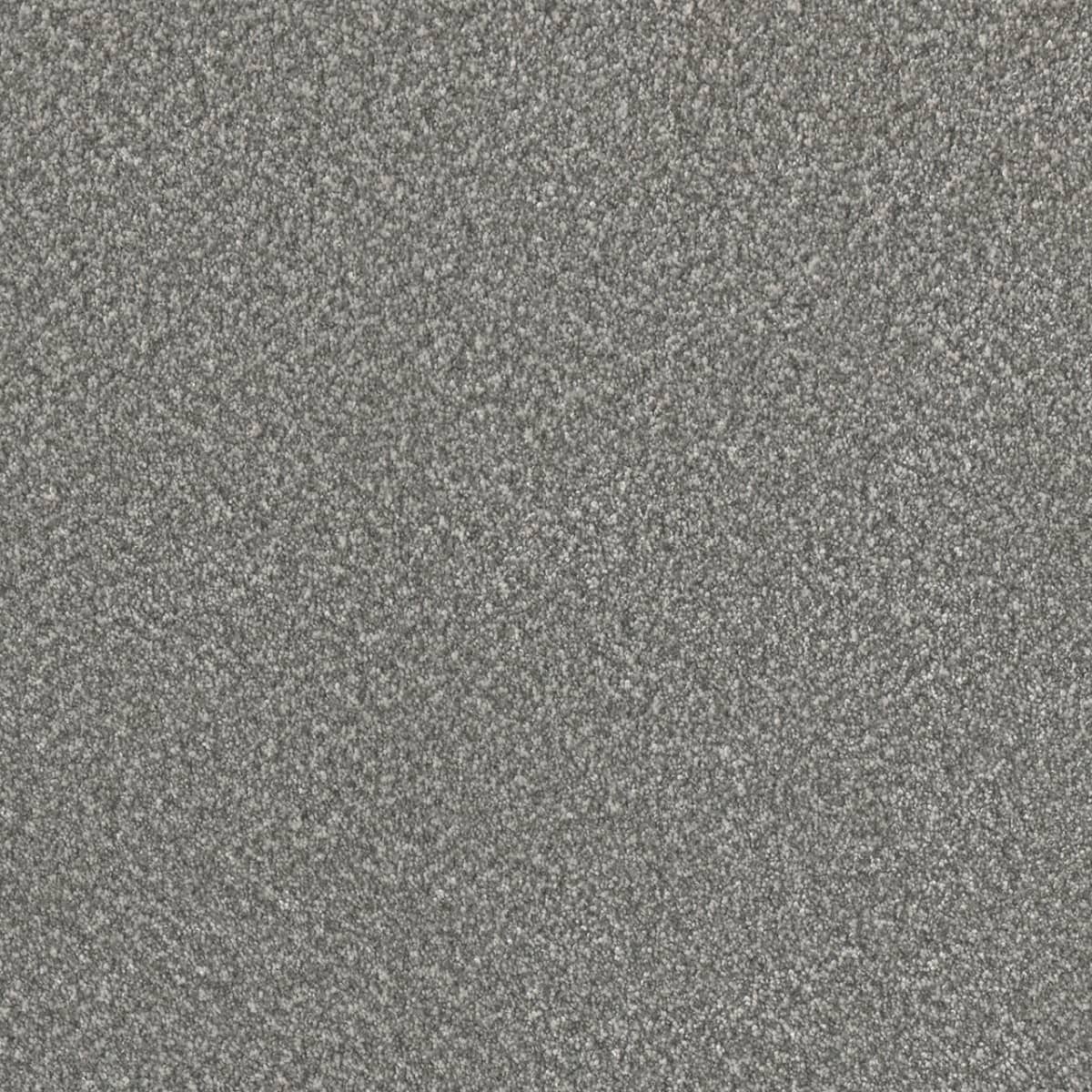 DreamWeaver® Lucky Penny III Texture Carpet