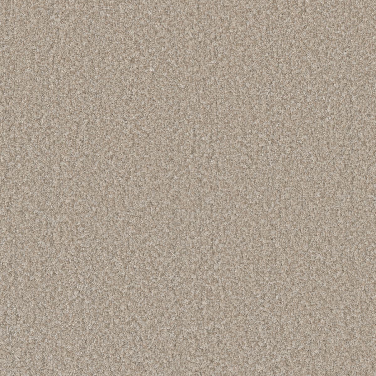 DreamWeaver® Lucky Penny III Texture Carpet