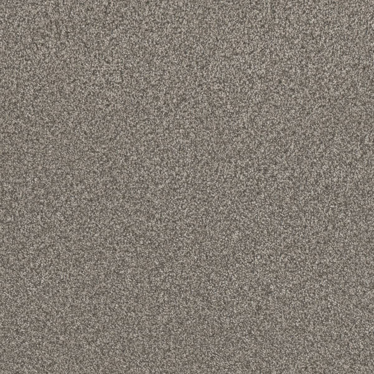DreamWeaver® Lucky Penny III Texture Carpet
