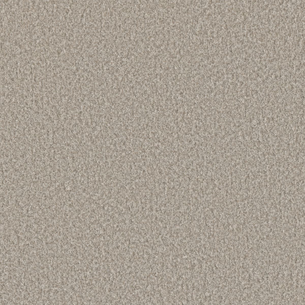 DreamWeaver® Lucky Penny III Texture Carpet