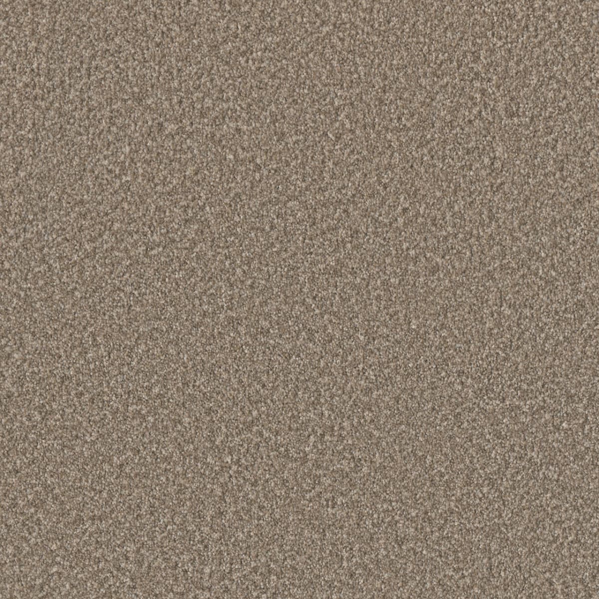 DreamWeaver® Lucky Penny III Texture Carpet