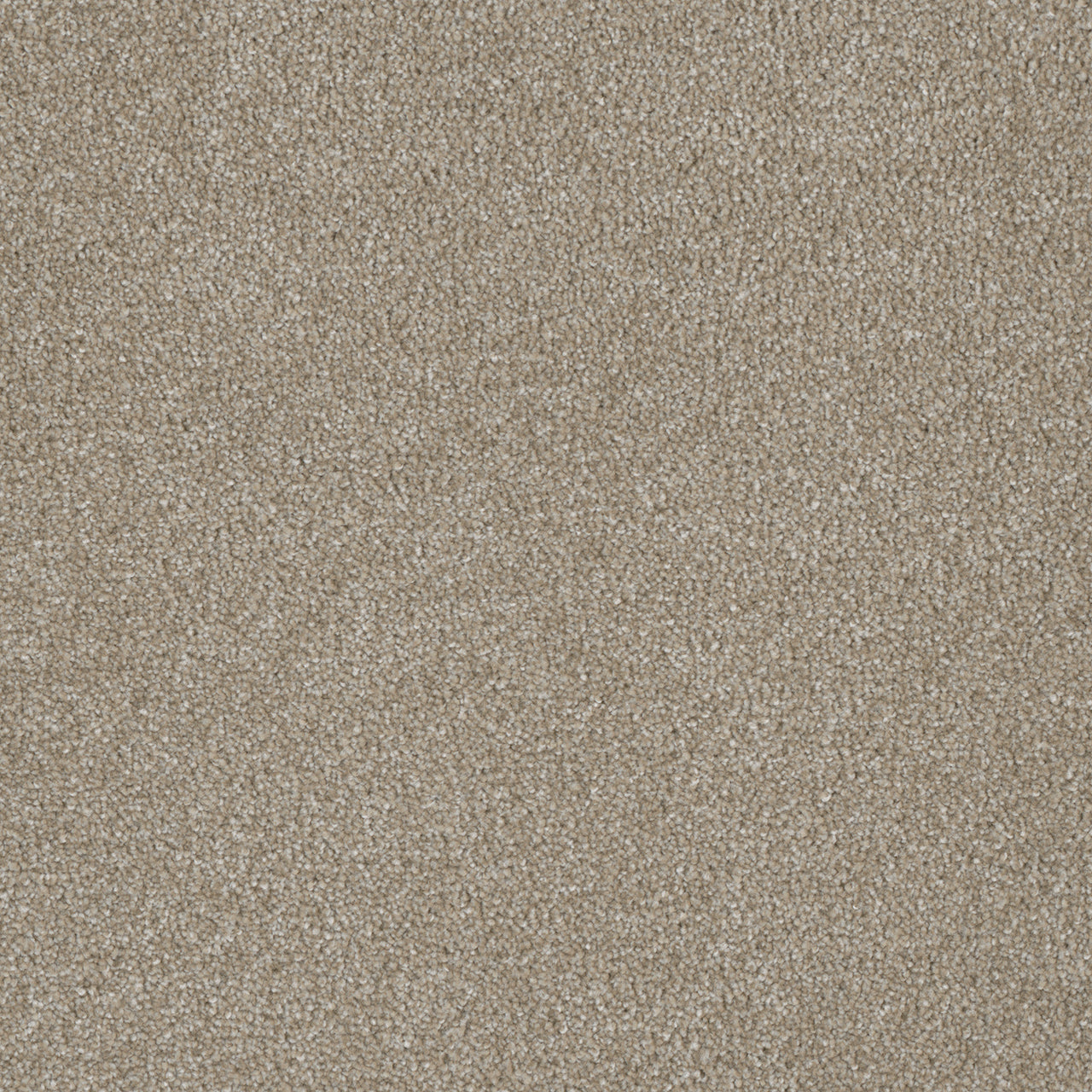 DreamWeaver® Luxor II Textured Cut Pile Carpet