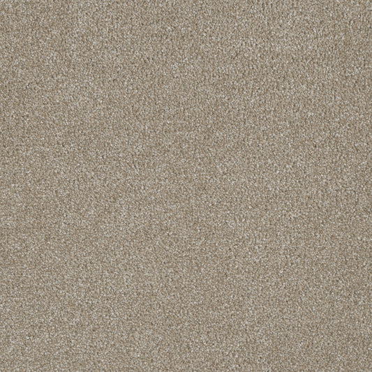 DreamWeaver® Luxor III Textured Cut Pile Carpet