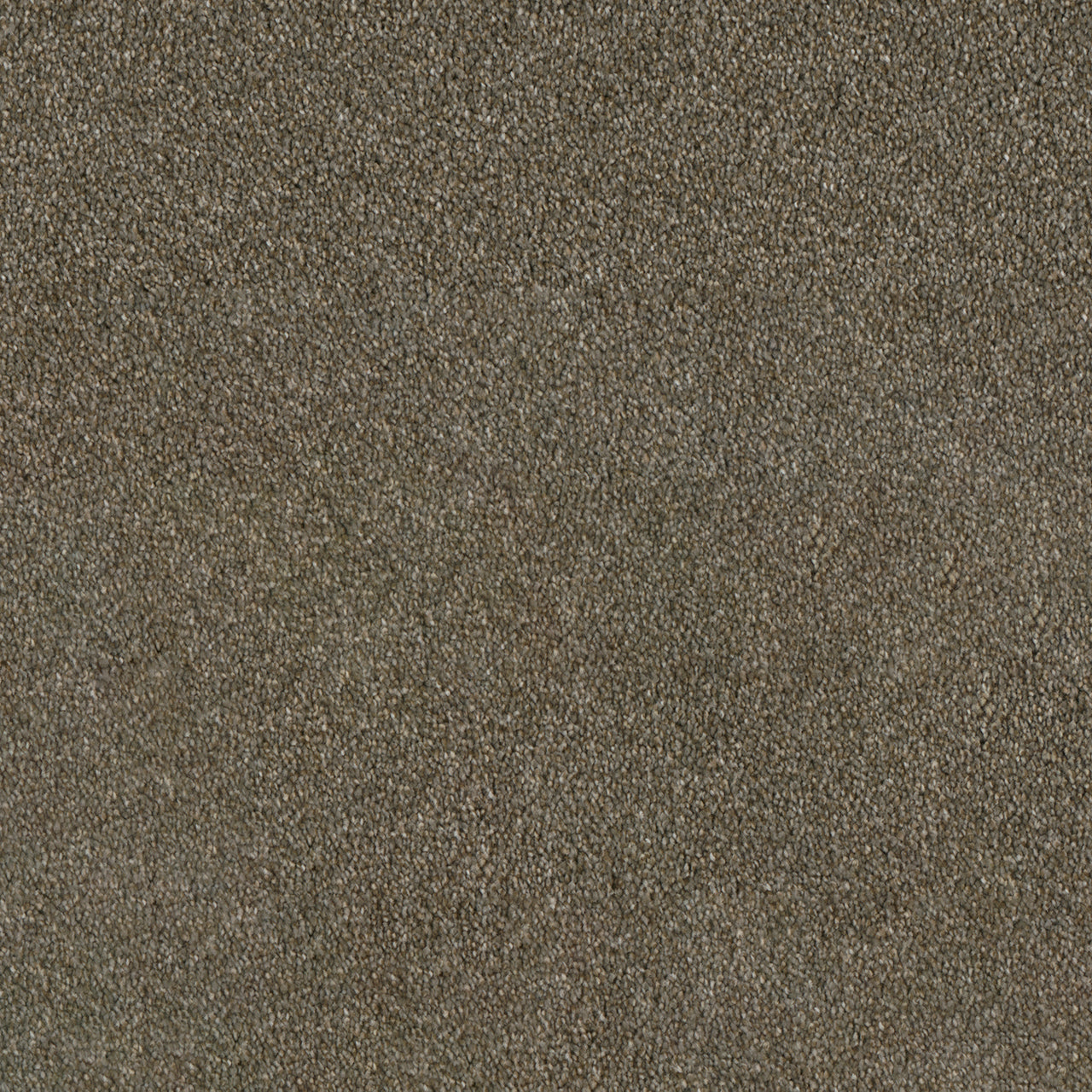 DreamWeaver® Luxor II Textured Cut Pile Carpet