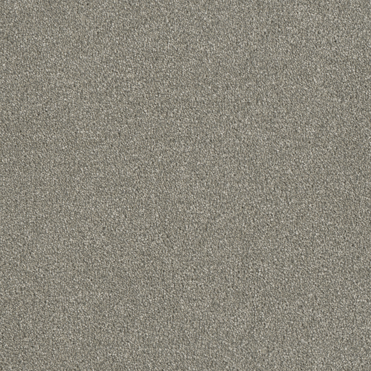 DreamWeaver® Luxor II Textured Cut Pile Carpet