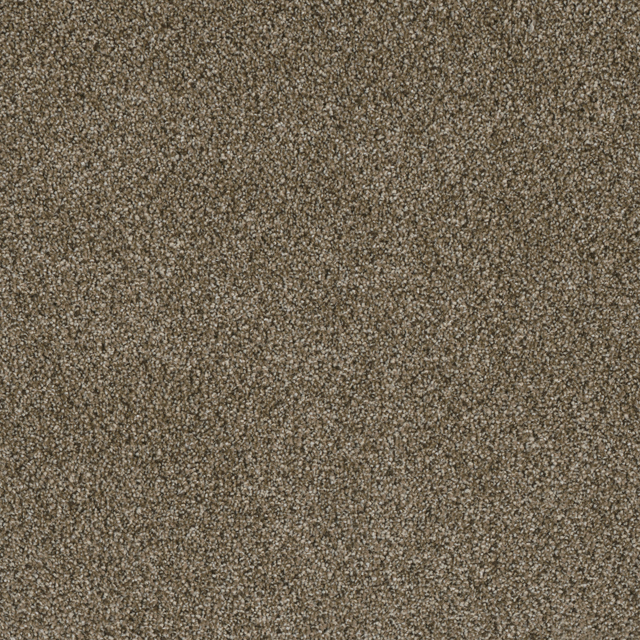 DreamWeaver® Luxor II Textured Cut Pile Carpet