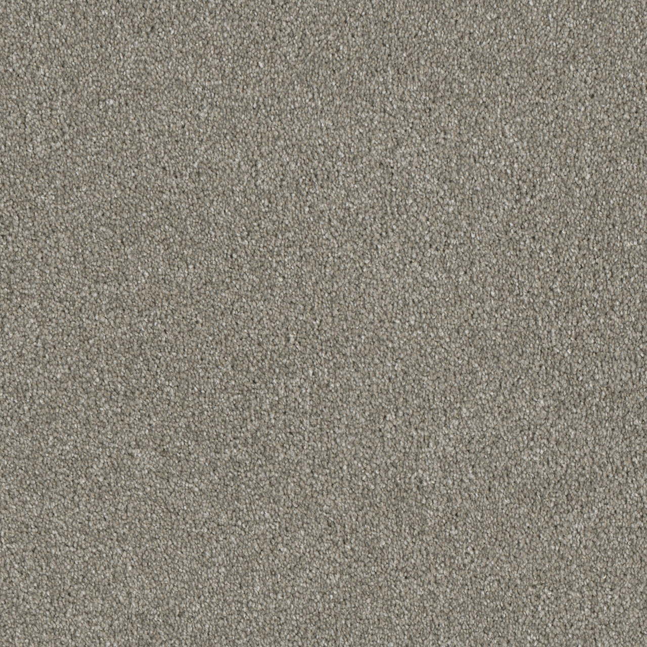 DreamWeaver® Luxor II Textured Cut Pile Carpet