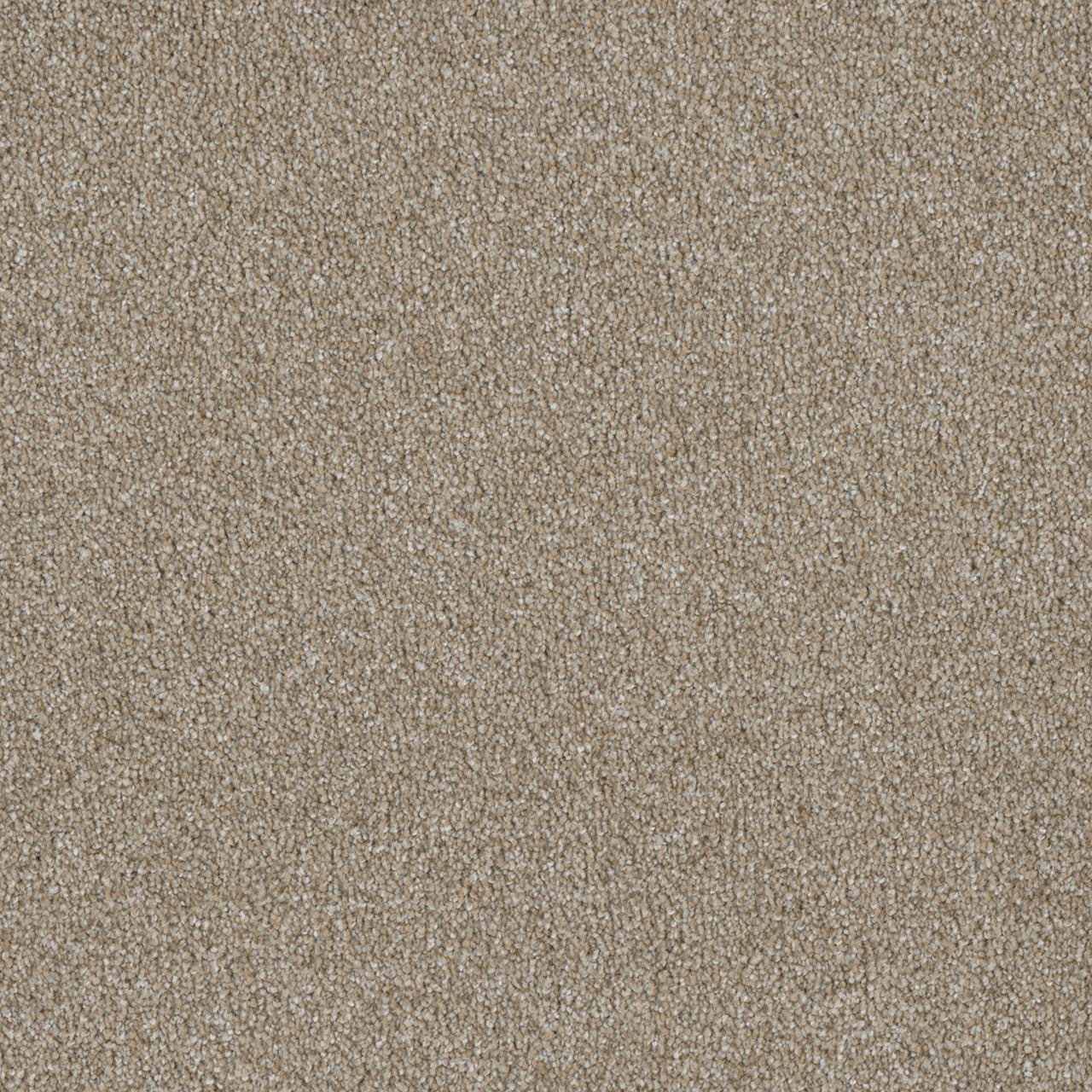 DreamWeaver® Luxor II Textured Cut Pile Carpet