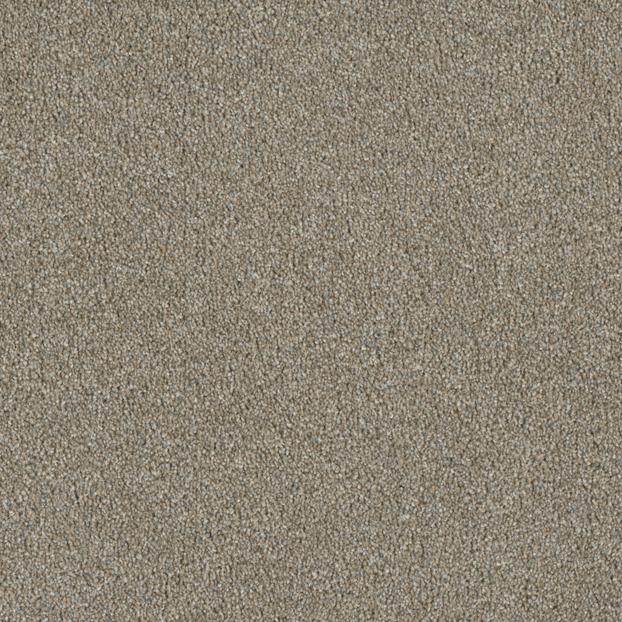 DreamWeaver® Luxor II Textured Cut Pile Carpet