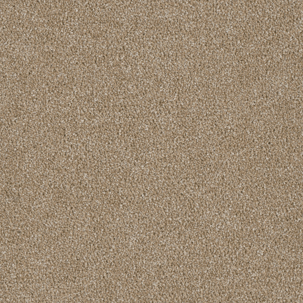 DreamWeaver® Luxor II Textured Cut Pile Carpet