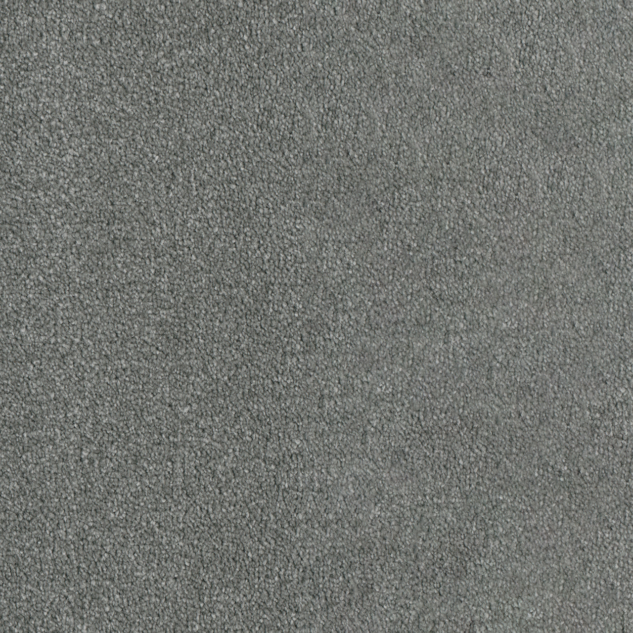 DreamWeaver® Luxor II Textured Cut Pile Carpet