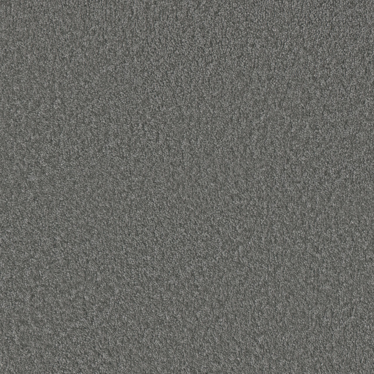DreamWeaver® Malibu I Textured Cut Pile Carpet