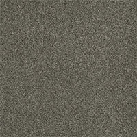 DreamWeaver® Malibu I Textured Cut Pile Carpet