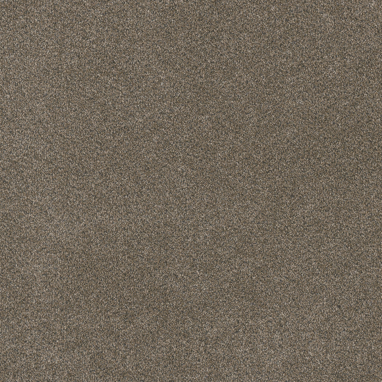 DreamWeaver® Malibu I Textured Cut Pile Carpet