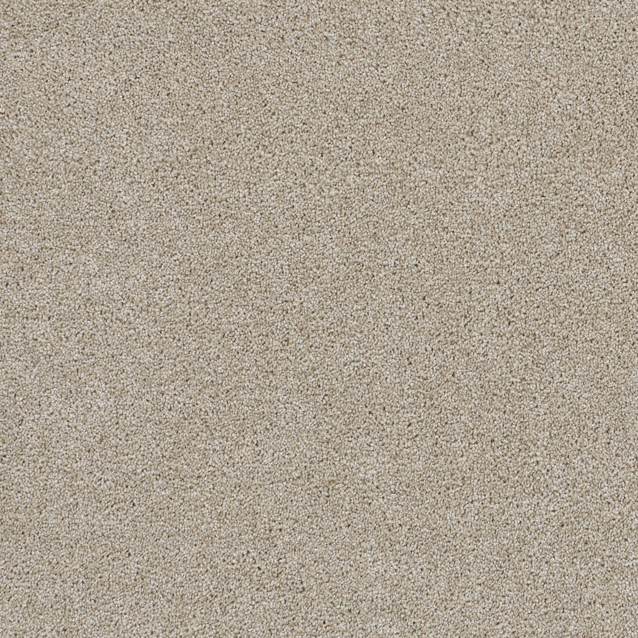 DreamWeaver® Malibu I Textured Cut Pile Carpet