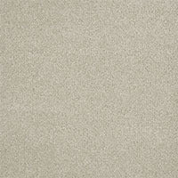 DreamWeaver® Malibu I Textured Cut Pile Carpet