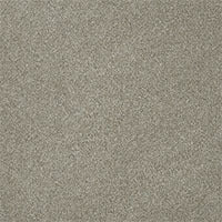 DreamWeaver® Malibu I Textured Cut Pile Carpet