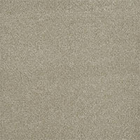 DreamWeaver® Malibu I Textured Cut Pile Carpet