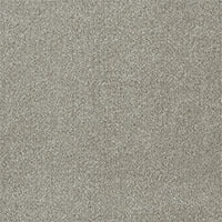 DreamWeaver® Malibu I Textured Cut Pile Carpet